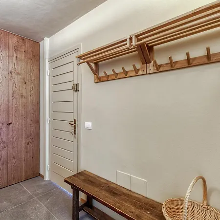 Androsace 31 - Happy *