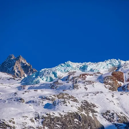 Androsace 31 - Happy Chamonix