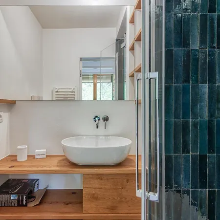 Androsace 31 - Happy 霞慕尼