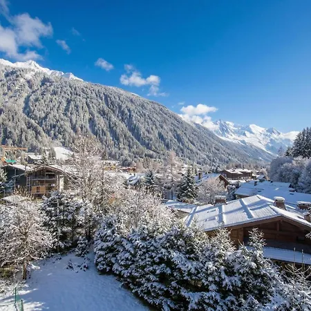 Androsace 31 - Happy 公寓 霞慕尼