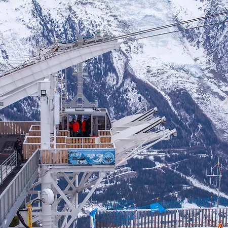 Androsace 31 - Happy