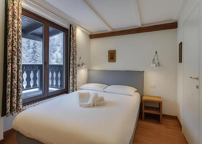 Androsace 31 - Happy * Chamonix