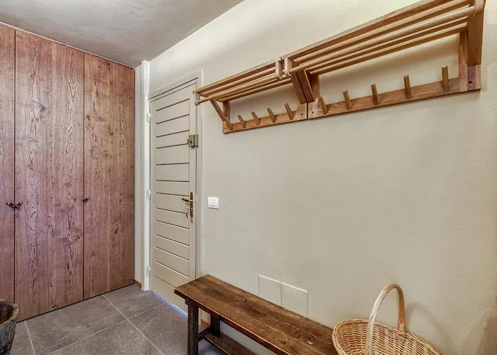 Androsace 31 - Happy