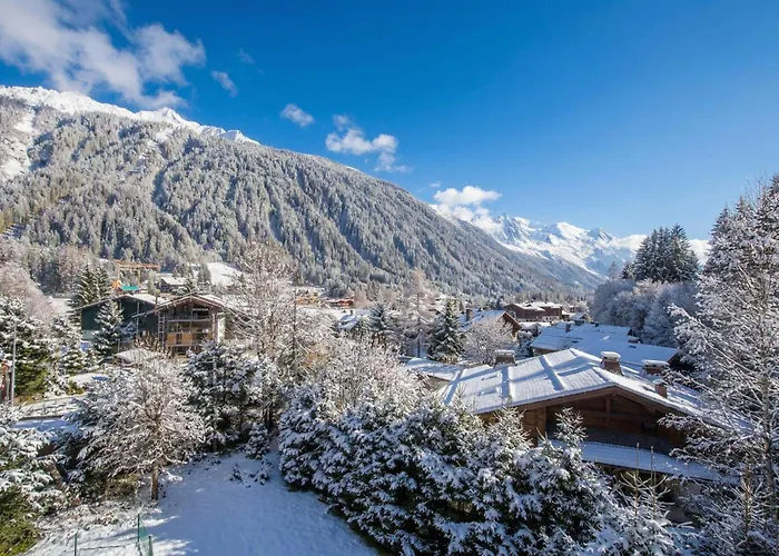 Androsace 31 - Happy Apartment Chamonix