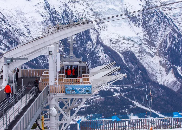 Androsace 31 - Happy